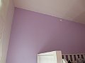 IMG_5546