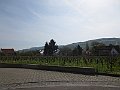 IMG_5733