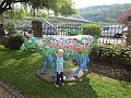 IMG_5737