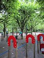 IMG_5936