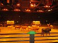IMG_5998