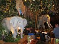 IMG_6075