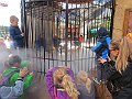 IMG_6116