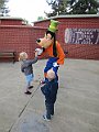 IMG_6284