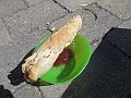 IMG_6334