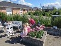 IMG_6350