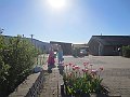 IMG_6354
