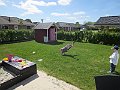 IMG_6374