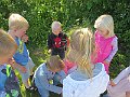 IMG_6455