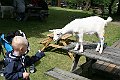 IMG_7952