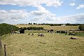 IMG_8014