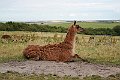 IMG_8027