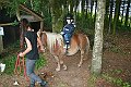 IMG_8036
