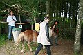 IMG_8050