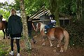IMG_8075