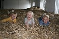 IMG_8173
