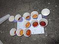 IMG_6867