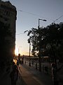 IMG_6955