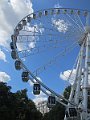 IMG_6996