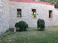 IMG_7227
