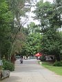 IMG_7445