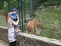 IMG_7479