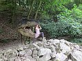 IMG_7516