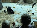 IMG_7548