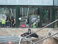 IMG_7557