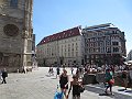 IMG_7646