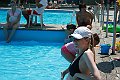 IMG_7384 (2)