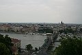 IMG_7590 (2)