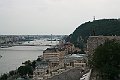 IMG_7649 (2)