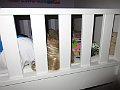 IMG_7889