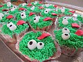 IMG_7952