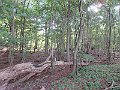 IMG_8018