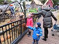 IMG_8046
