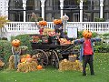 IMG_8052