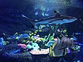 IMG_8061b