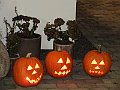 IMG_8159