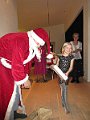 IMG_8278