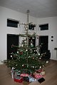 IMG_8381