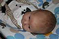 IMG_8542