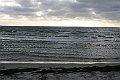 IMG_8341