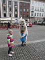 IMG_0320