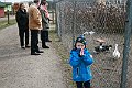 IMG_8847
