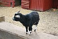 IMG_8868