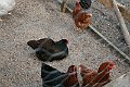 IMG_8875