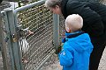IMG_8880