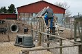 IMG_8889